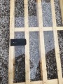 IMG_20230226_115902.jpg