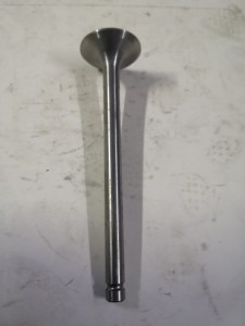 Zawór wydechowy DF254 / Exhaust valve N90-02007