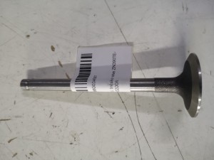 Zawór ssący DF30 / Intake valve ZN390TE-02008