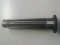20250205_082100.jpg