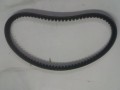 20250207_084544.jpg