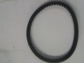 20250207_084603.jpg