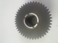 20250211_124748.jpg