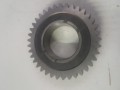 20250211_124951.jpg