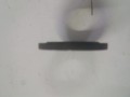 20250213_105636.jpg