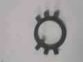 20250213_110656.jpg