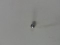 20250213_111616.jpg