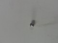 20250213_111618.jpg