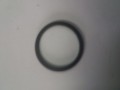 20250213_112231.jpg