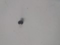 20250213_135527.jpg