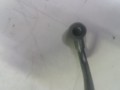 20250217_181323.jpg