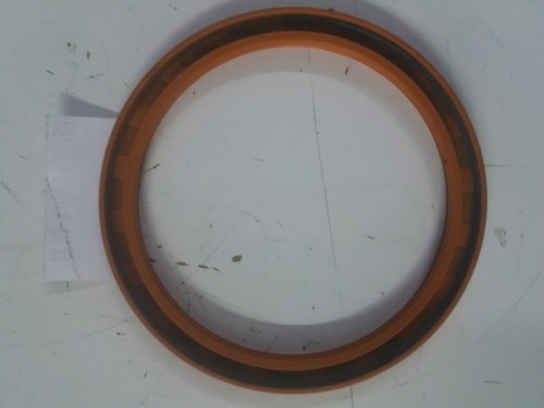 20250218_120133.jpg