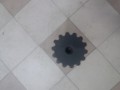 20250218_121332.jpg