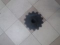 20250218_121350.jpg