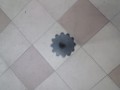 20250218_121651.jpg