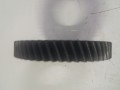 20250220_091854.jpg